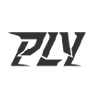 上海盘龙迎信息技术有限公司